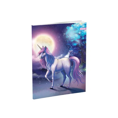 Sveska A4 meki povez karo Horse 52 lista