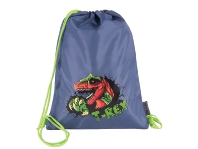 Torba za fizičko Dinosaur