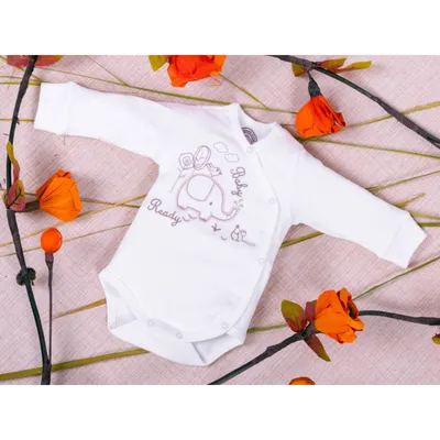 READY GROUP BODI ORGANIC 56-80