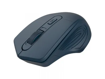 Bežični miš CANYON CNE-CMSW15DB