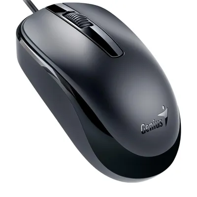 Miš GENIUS DX-120 Black