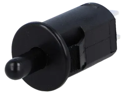 Prekidač za vrata 10A 250V