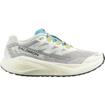 SALOMON Muške cipele AERO BLAZE 3 GRVL