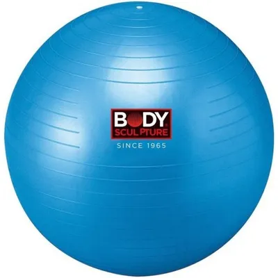 BODY SCULPTURE Pilates lopta 65CM