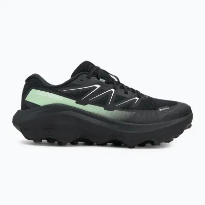 SALOMON Muške patikeTRAIL SHOES ULTRA FLOW 2 GTX