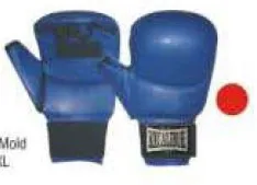 AMK SPORTS Rukavice za karate AMK