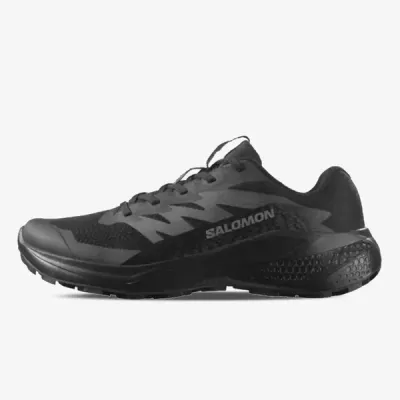 SALOMON Muške patike ALPHAGLIDE