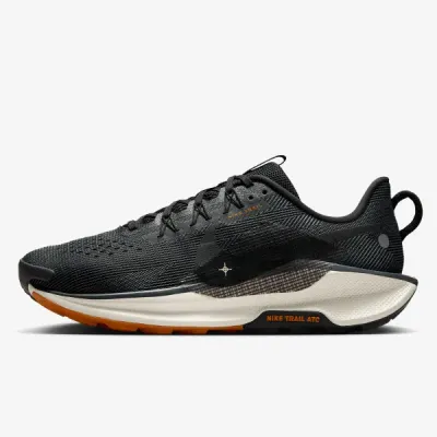 Muške patike NIKE PEGASUS TRAIL 5