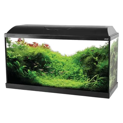 Akvarij Iseo 80 LED