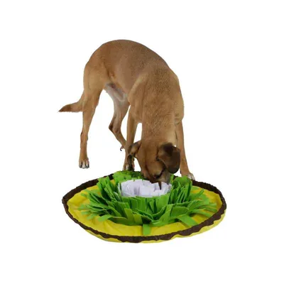 Tepih za njušenje ‘Bowl’