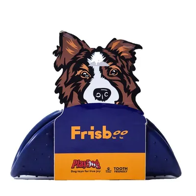 PlayDog Frisbee