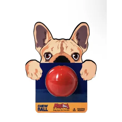 PlayDog CHEW BALL, lopta za pse
