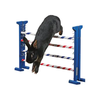 Agility set ‘Combo Jump’