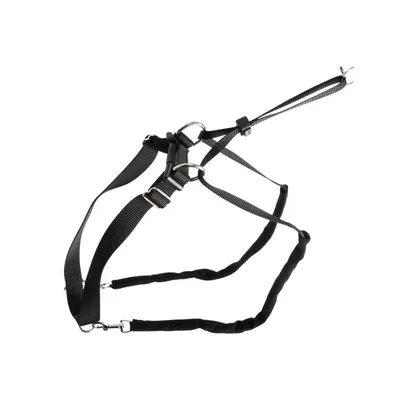 Oprsnik ‘Maxi Leader’