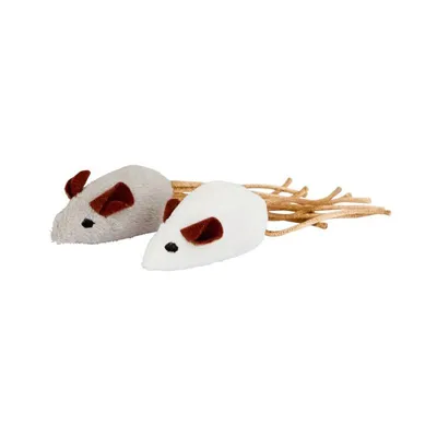 Miš