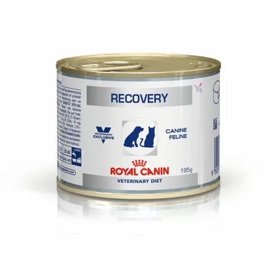 Recovery za pse i mačke, 195g