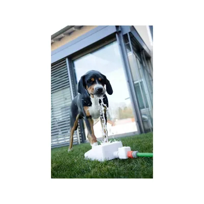 Fontana za pse ‘Bubble’