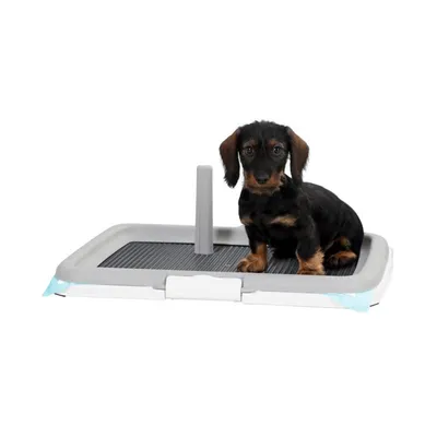 Toalet ‘Puppy’ set za treniranje