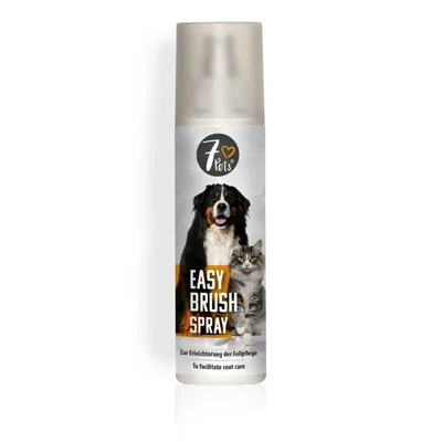 Easy Brush sprej, 200 ml