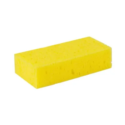Spužva