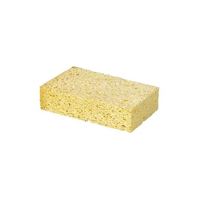 Spužva