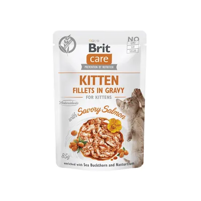 Brit Care Cat Pouch ‘KITTEN – Savory Salmon in Jelly’, 85 gr
