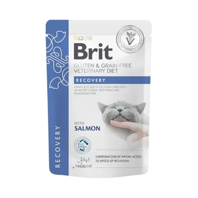 Brit RECOVERY CAT Pouch, GLUTEN GRAINFREE Veterinary Diet, 85 GR