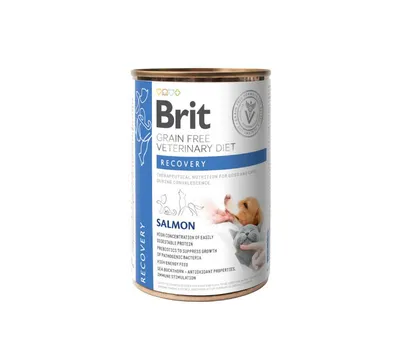 Brit RECOVERY DOG+CAT Konzerva, GRAINFREE Veterinary Diet, 400 GR
