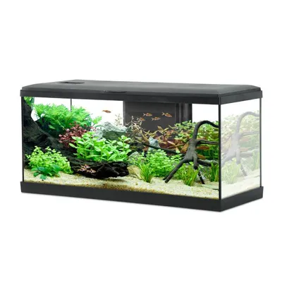 Akvarij Tana 80, crni