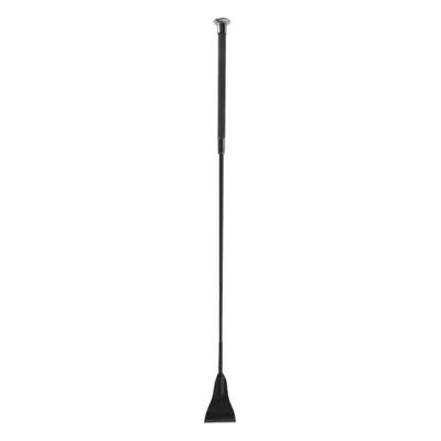 Preponski bič ‘Carbon’