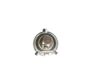 Bosch sijalica 12V H4 60 55W