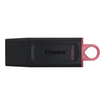 Kingston USB stick FD 256GB USB3.2 DTX DataTraveler Exodia