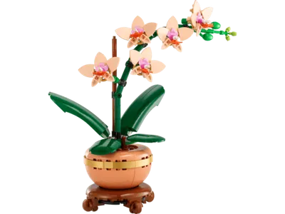 LEGO® Botanicals Mini orhideja 10343