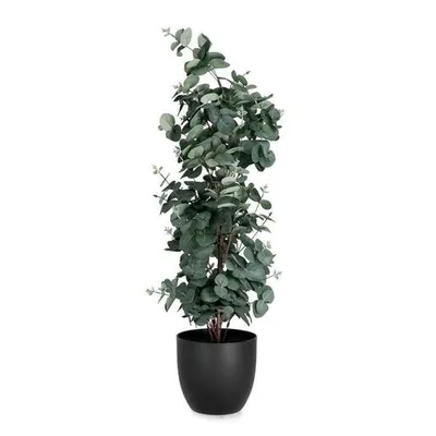 BIZZOTTO eukaliptus 90cm u saksiji pvc