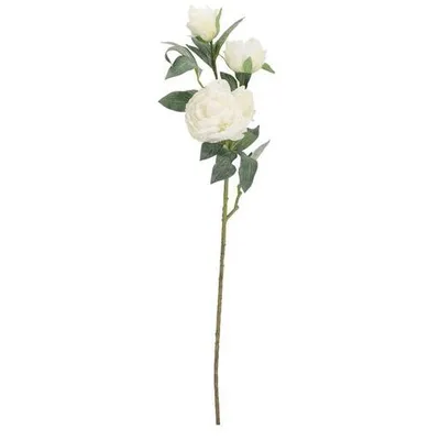 BIZZOTTO peonija 90cm pvc evalyn
