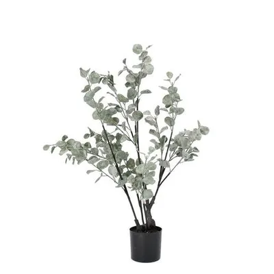 BIZZOTTO eukaliptus 82cm u saksiji pvc