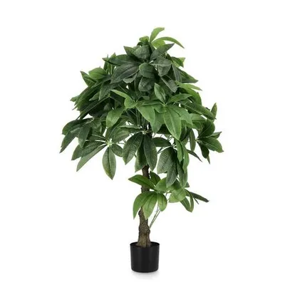 BIZZOTTO cvijeće pachira 120cm u saksiji 0172861
