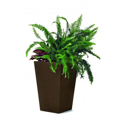 KETER Saksija smeda 28x28x43cm rattan