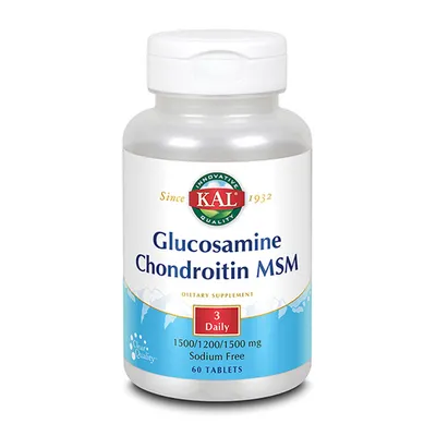 Kal Glucosamine Chondroitin MSM