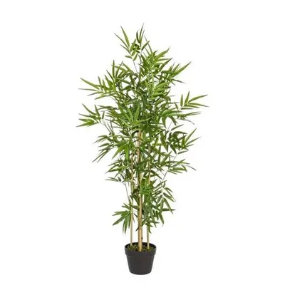 BIZZOTTO bambus 130cm lončanica