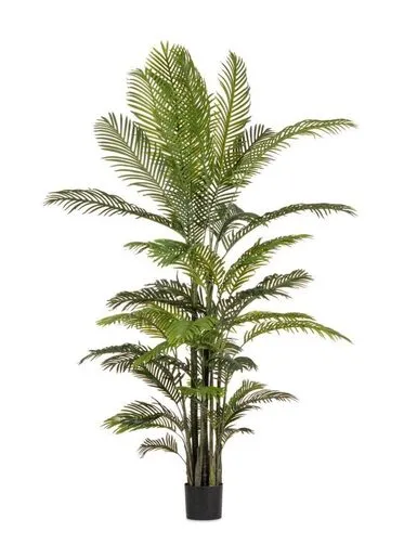 BIZZOTTO kenzia 210cm lončanica