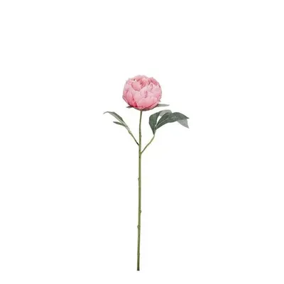 BIZZOTTO dekorativni cvijet peonija 52cm roza
