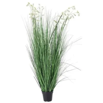 BIZZOTTO grevillea 150cm lončanica bijela