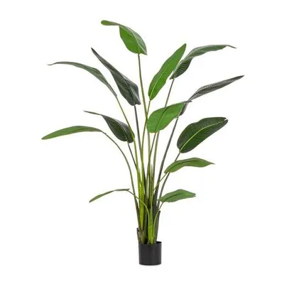 BIZZOTTO strelicija 235cm zelena