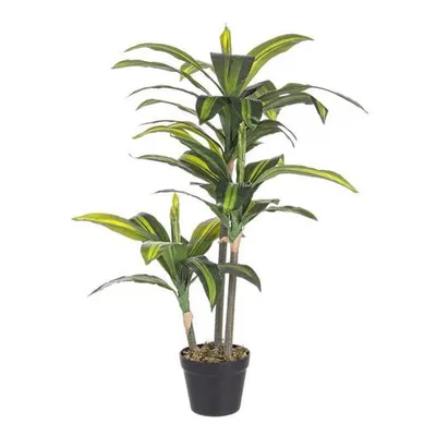 BIZZOTTO dračena 88cm zelena