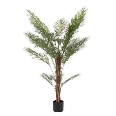 BIZZOTTO kenzia 180cm lončanica