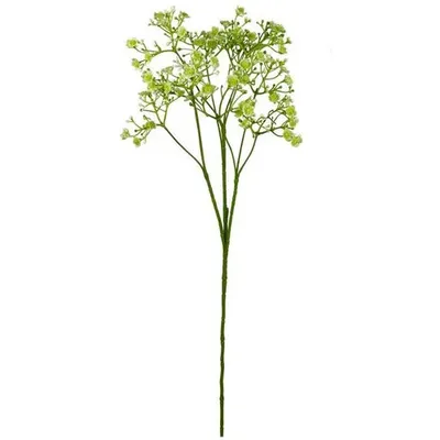 BIZZOTTO dekorativni cvijet gipsofila 70cm zelena